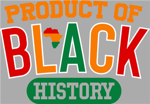 Black History in 1865-LY 632